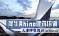 ϬţRhinoѵ